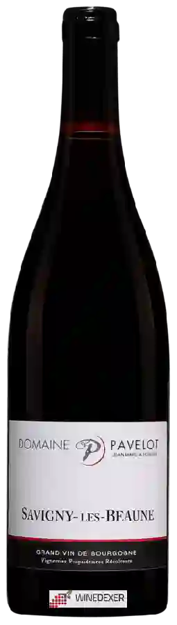 Domaine Pavelot - Savigny-les-Beaune