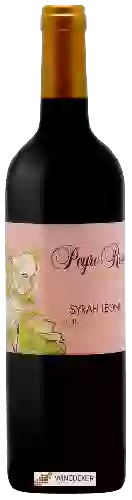Winery Peyre Rose - Clos Syrah Léone