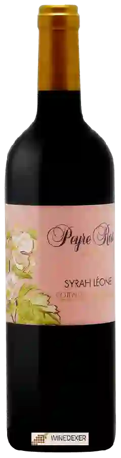 Winery Peyre Rose - Clos Syrah Léone Winery Peyre Rose - Clos Syrah Léone
