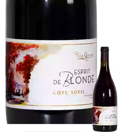 Winery Pierre Gaillard - Côte-Rôtie Brune et Blonde