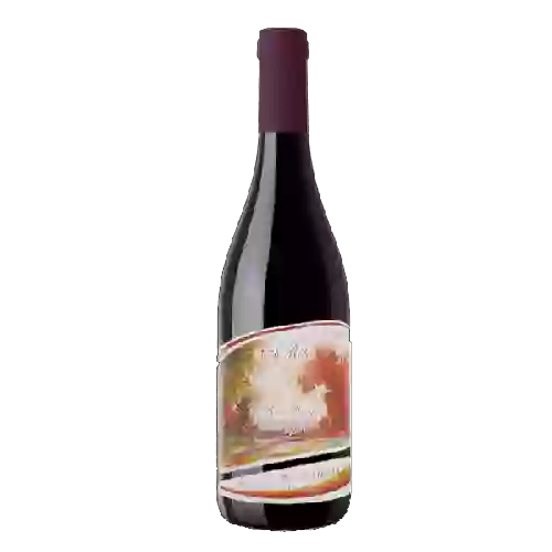 Winery Pierre Gaillard - Rosé de Syrah
