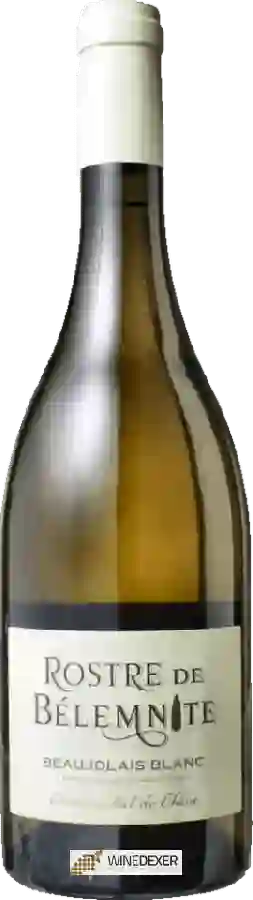 Winery Vignerons des Pierres Dorees - Rostre de Bélemnite Beaujolais Blanc