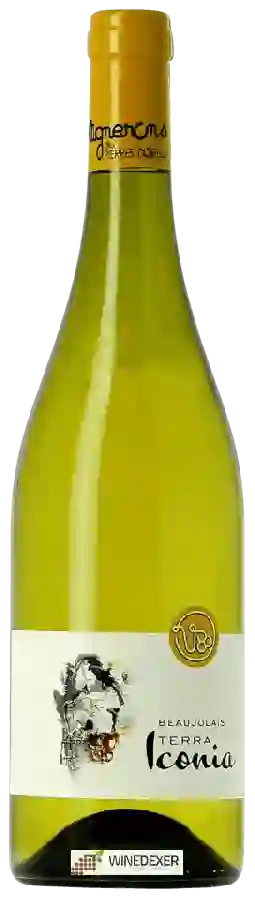 Winery Vignerons des Pierres Dorees - Terra Iconia Beaujolais Blanc
