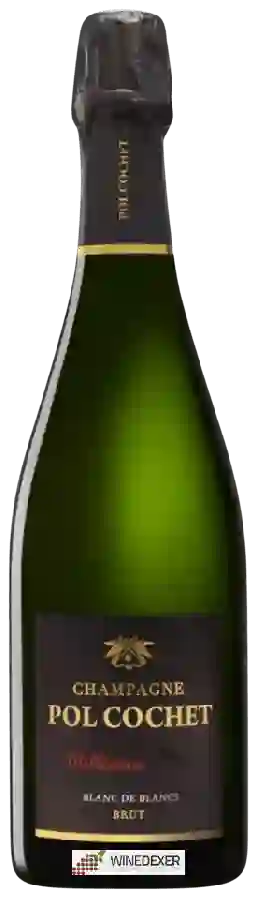 Winery Pol Cochet - Blanc de Blancs Brut Champagne Winery Pol Cochet - Blanc de Blancs Brut Champagne