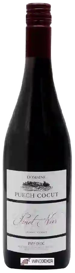 Winery Puech Cocut - Pinot Noir