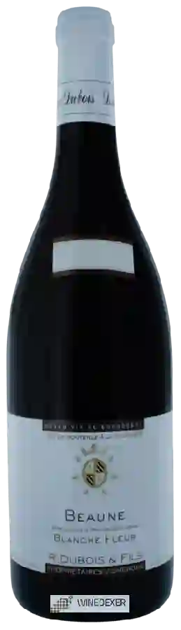 Winery R. Dubois & Fils - Beaune 1er Cru 'Blanches Fleurs'