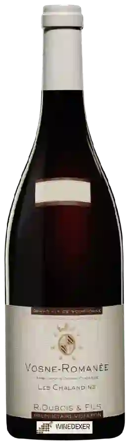 Winery R. Dubois & Fils - Vosne-Romanée 'Les Chalandins'