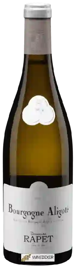 Domaine Rapet - Bourgogne Aligoté