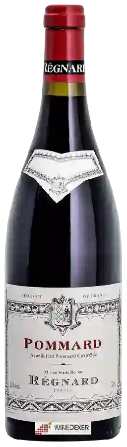 Winery Régnard - Pommard Winery Régnard - Pommard