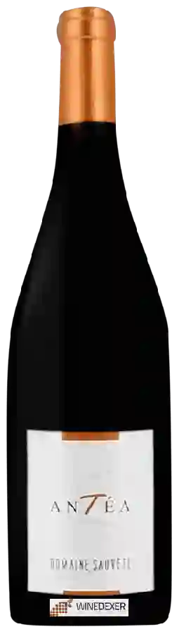 Domaine Sauvète - Antéa Domaine Sauvète - Antéa