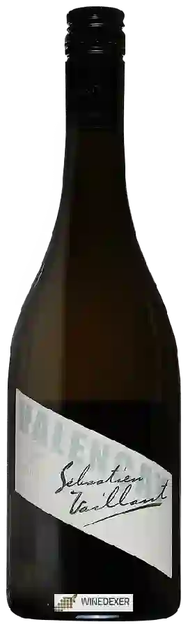 Winery Sebastien Vaillant - Valencay