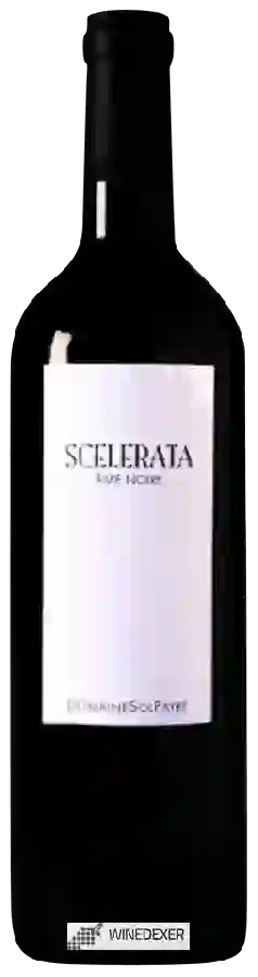 Domaine Sol Payré - Scelerata Âme Noire Domaine Sol Payré - Scelerata Âme Noire