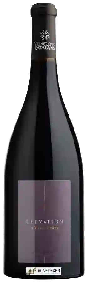 Winery Vignerons Catalans - Elevation Vieilles Vignes Roussillon Villages Winery Vignerons Catalans - Elevation Vieilles Vignes Roussillon Villages