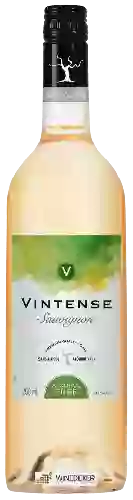 Winery Vintense - Sauvignon