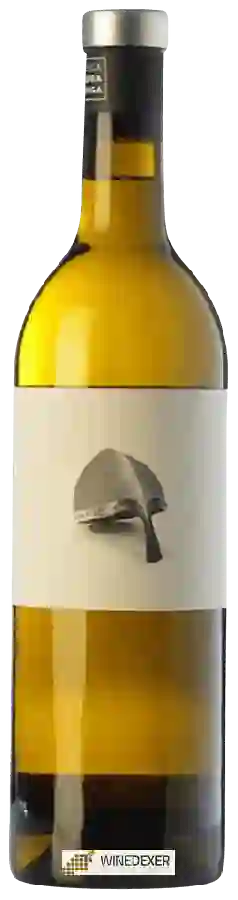 Winery Pedralonga - Terra de Godos Albariño