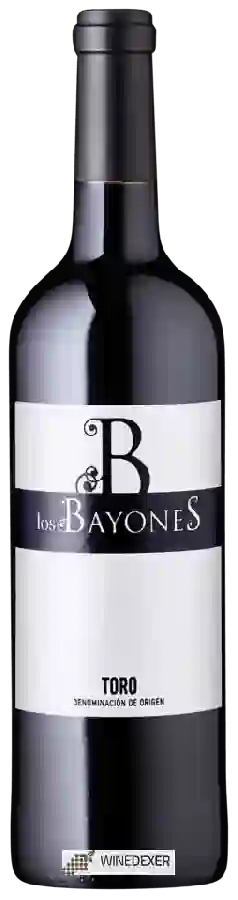 Winery Francisco Casas - Los Bayones Tinto