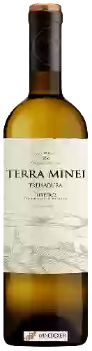 Winery Adegas Francisco Fernández - Terra Minei