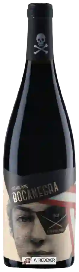Winery Francisco Gomez - Bocanegra Tinto Winery Francisco Gomez - Bocanegra Tinto