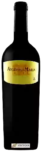 Winery Francisco Nunes Garcia - António Maria