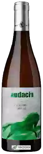 Winery Franck Massard - Audacia