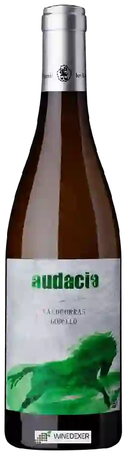 Winery Franck Massard - Audacia Winery Franck Massard - Audacia