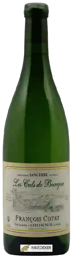 Winery François Cotat - Les Culs de Beaujeu Sancerre