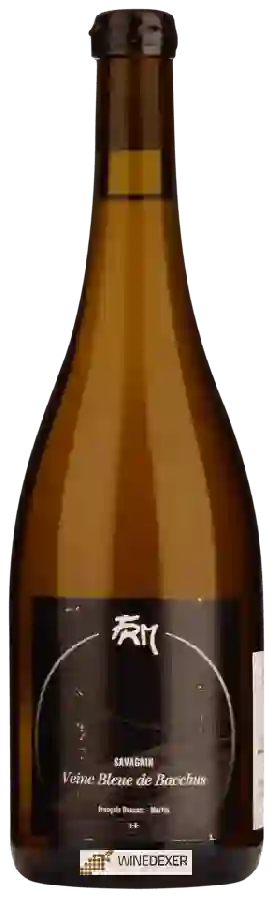 Winery Francois Rousset-Martin - La Veine Bleue de Bacchus