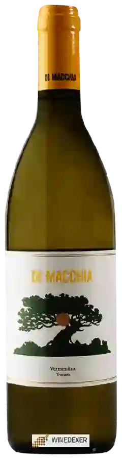 Winery Frank & Serafìco - Di Macchia Vermentino Winery Frank & Serafìco - Di Macchia Vermentino