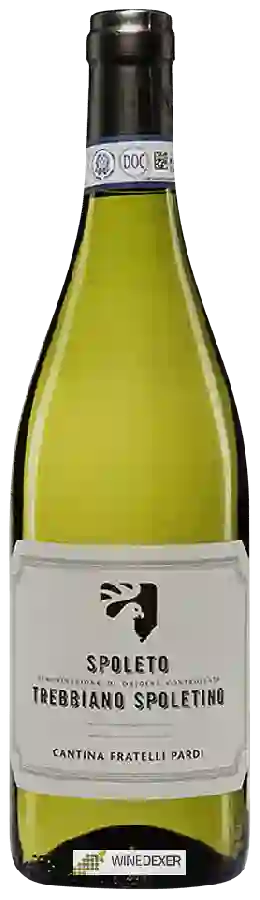Winery Pardi - Spoleto Trebbiano Spoletino Winery Pardi - Spoleto Trebbiano Spoletino