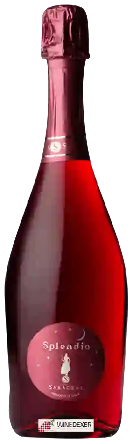 Winery Saraceni - Splendia