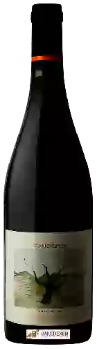 Winery Frédéric Brouca - Champs-Pentus Faugères