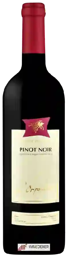 Winery L'Orpailleur Frédéric Dumoulin - Pinot Noir