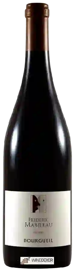 Winery Frederic Mabileau - Les Racines