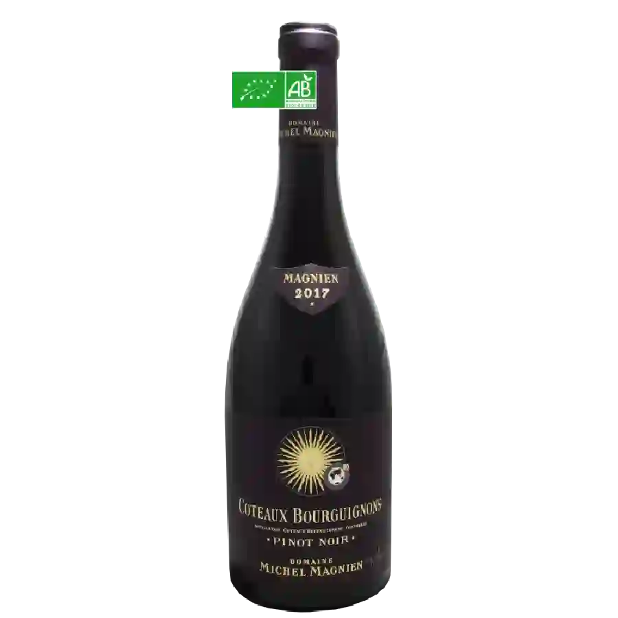 Winery Frédéric Magnien - Coteaux Bourguignons Coeur de Côte Winery Frédéric Magnien - Coteaux Bourguignons Coeur de Côte