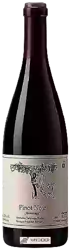 Winery Friedrich Becker - Hommage Pinot Noir