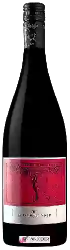 Winery Friedrich Becker - Spätburgunder 'B'