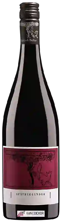 Winery Friedrich Becker - Spätburgunder Winery Friedrich Becker - Spätburgunder