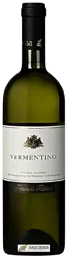 Winery Fubbiano - Colline Lucchesi Vermentino