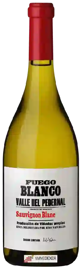 Winery Fuego Blanco - Sauvignon Blanc