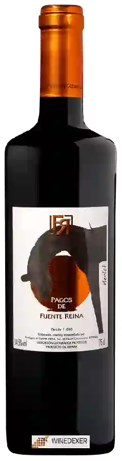 Winery Fuente Reina - Pagos de Fuente Reina