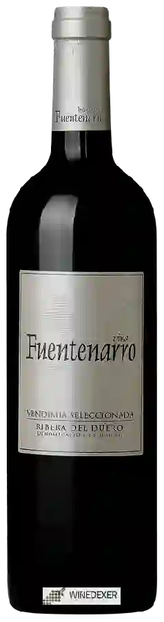 Winery Fuentenarro - Vendimia Seleccionada