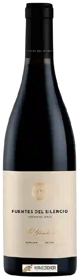 Winery Fuentes del Silencio - La Gándara