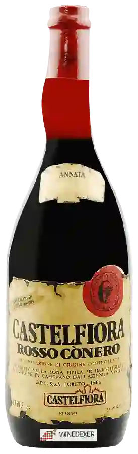 Winery Fulvia Tombolini - Rosso Conero Winery Fulvia Tombolini - Rosso Conero