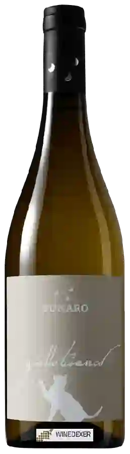 Winery Funaro - Gatto Bianco Winery Funaro - Gatto Bianco