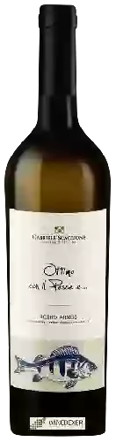 Winery Gabriele Scaglione - Ottimo Con Il Pesce e Roero Arneis