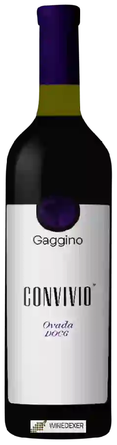 Winery Gaggino - Convivio Ovada
