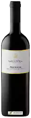 Winery Gagliole - Pecchia
