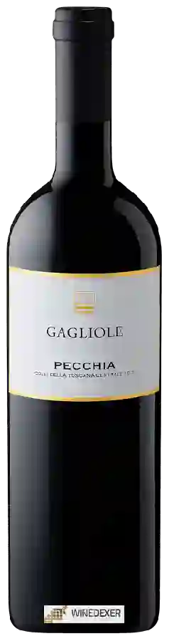 Winery Gagliole - Pecchia