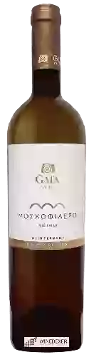 Winery Gaía - Μοσχοφίλερο (Moschofilero) by Gaia Wild Ferment