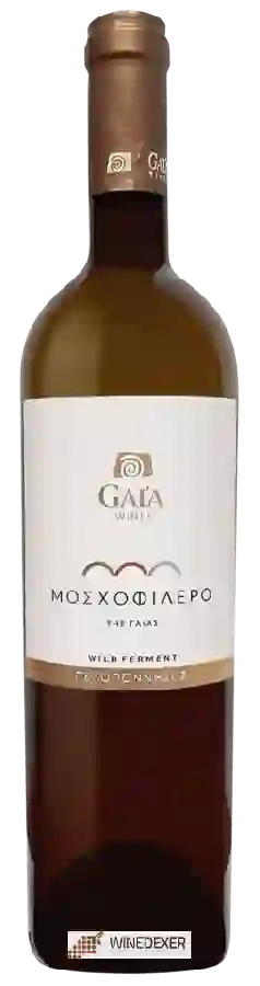 Winery Gaía - Μοσχοφίλερο (Moschofilero) by Gaia Wild Ferment